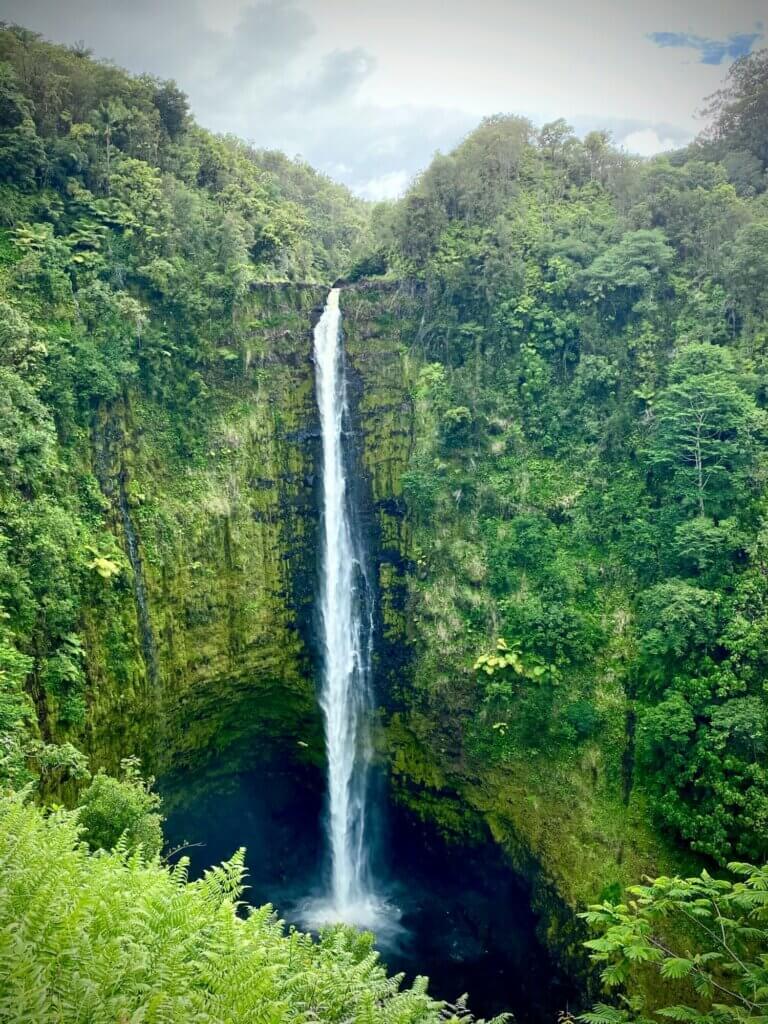 Waterfall in lush rainforest